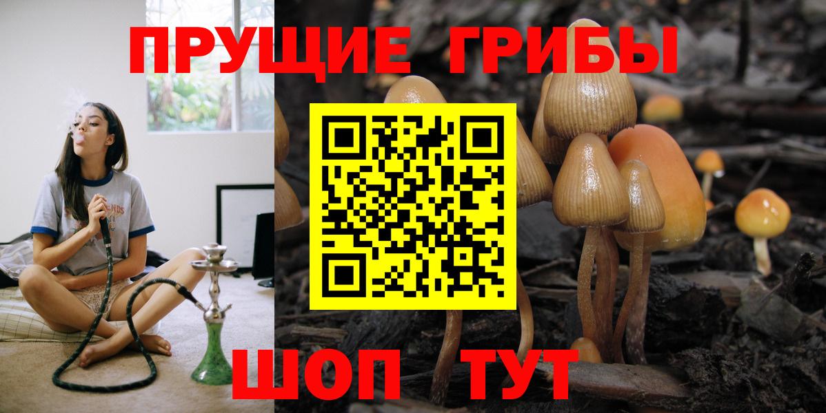 Галлюциногенные грибы мицелий  Псилоцибиновые грибы MAGIC MUSHROOMS  Вход с VPN  Советск 
